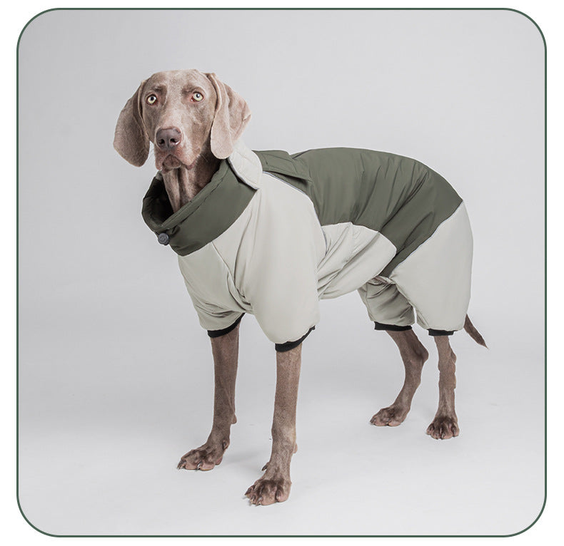 How to Choose the Best Winter Jacket for Your Dog (Ultimate 2025 Guide)