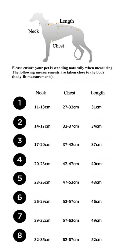 Colorblock Padded Vest – Minimal Winter Style