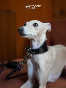 Onyx Vegan Croco Patterned Collar