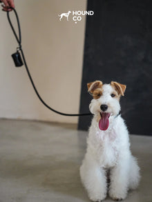 Onyx Vegan Croco Patterned Leash