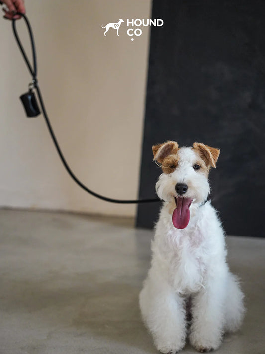 Onyx Vegan Croco Patterned Leash