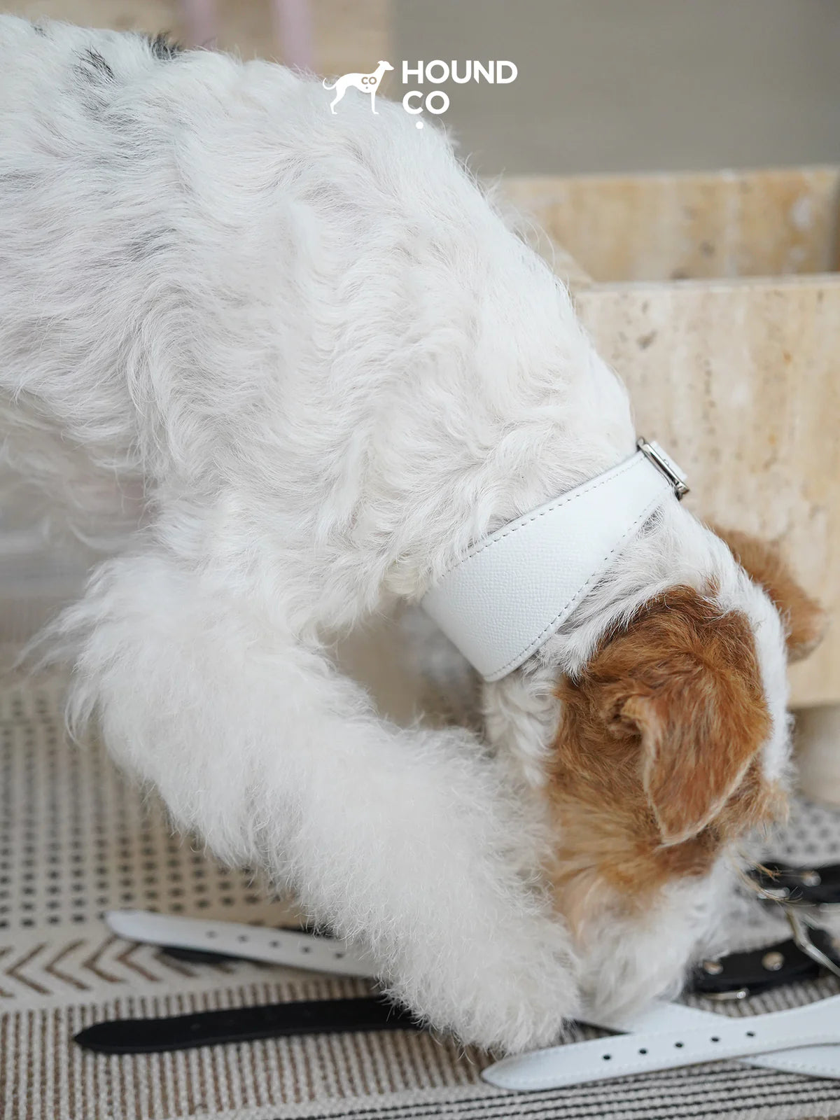 Porcelain Vegan Collar