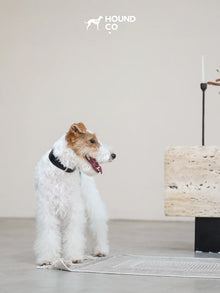 Onyx Vegan Croco Patterned Collar