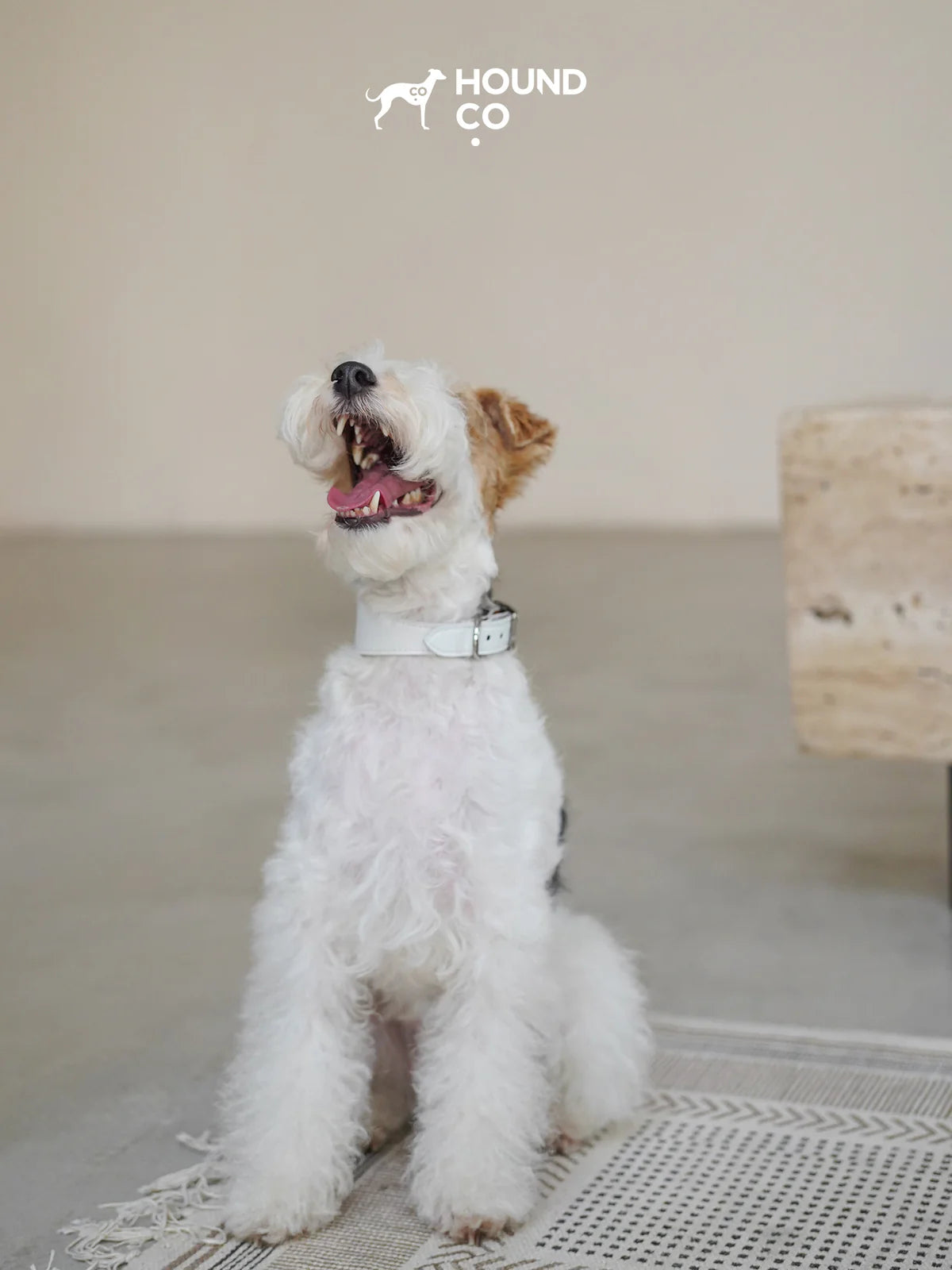 Porcelain Vegan Collar