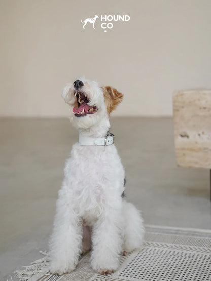 Porcelain Vegan Collar