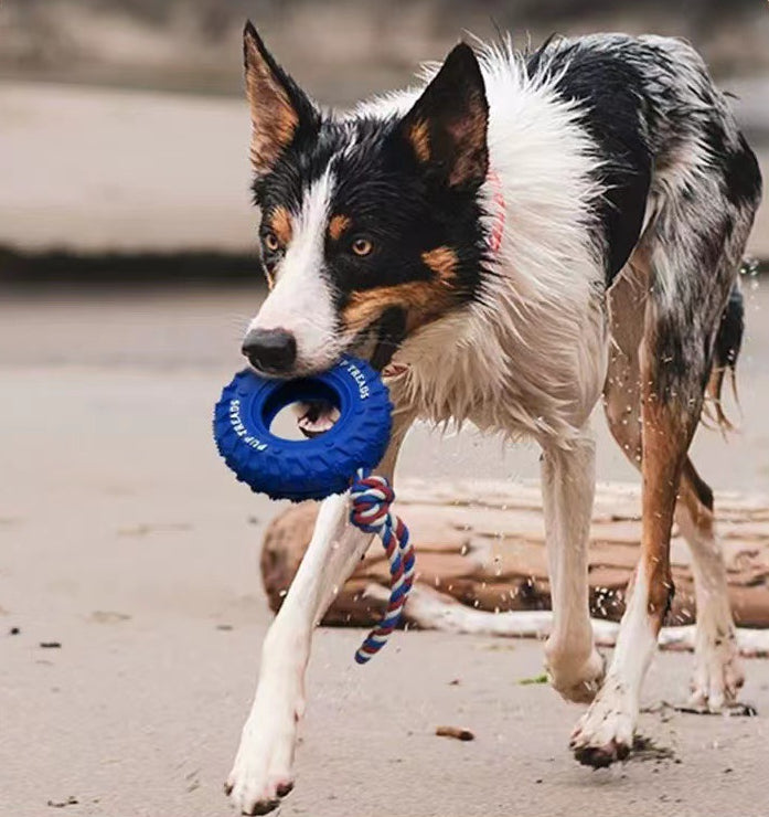 Rope Tire Dog Toy – Durable Rubber Chew Toy with Cotton Rope for Dogs