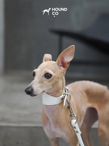 Porcelain Vegan Collar