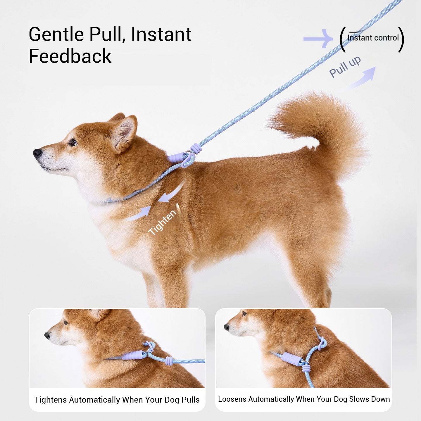 Dog Slip Lead – Strong No-Pull Rope Leash for Small & Medium Dogs