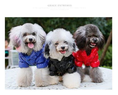 Warm Dog Clothes – Winter Puppy Outfit & Pet Clothing