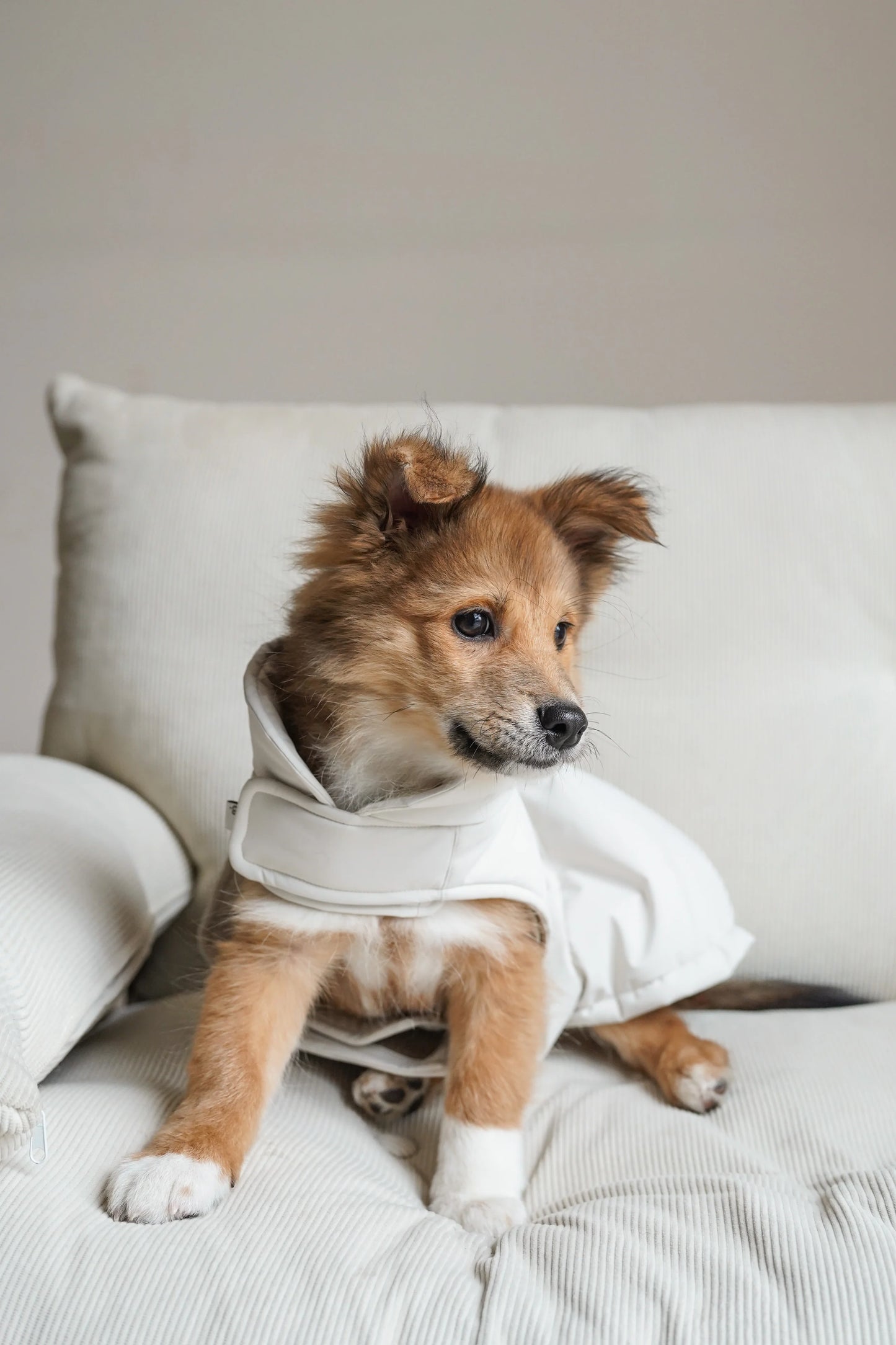 Easy on puffer for all breeds