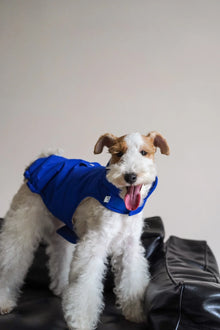 Easy on puffer for all breeds