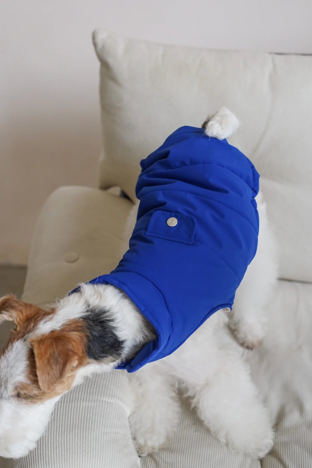 Easy on puffer for all breeds