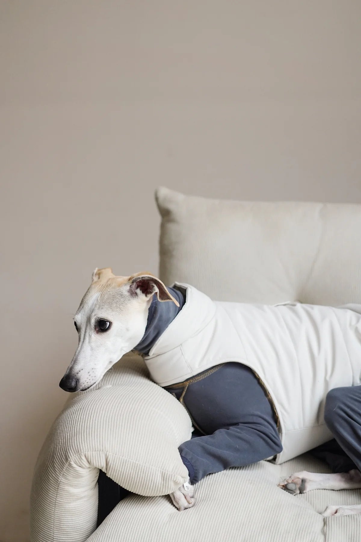 Easy on puffer for all breeds