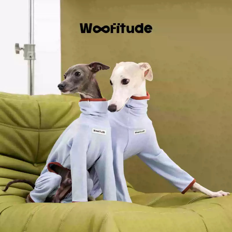 Wooftiude Four-Leg Thermal Suit
