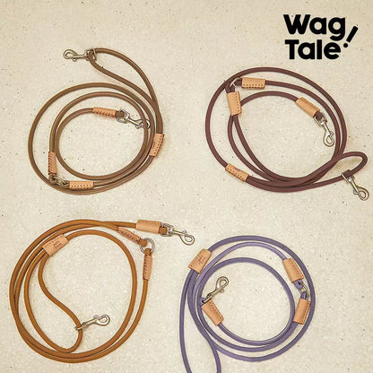 WagTale Vintage Leather Dog Leash – Multi-Tone Versatile Design