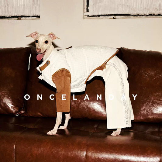 Colorblock Padded Vest – Minimal Winter Style