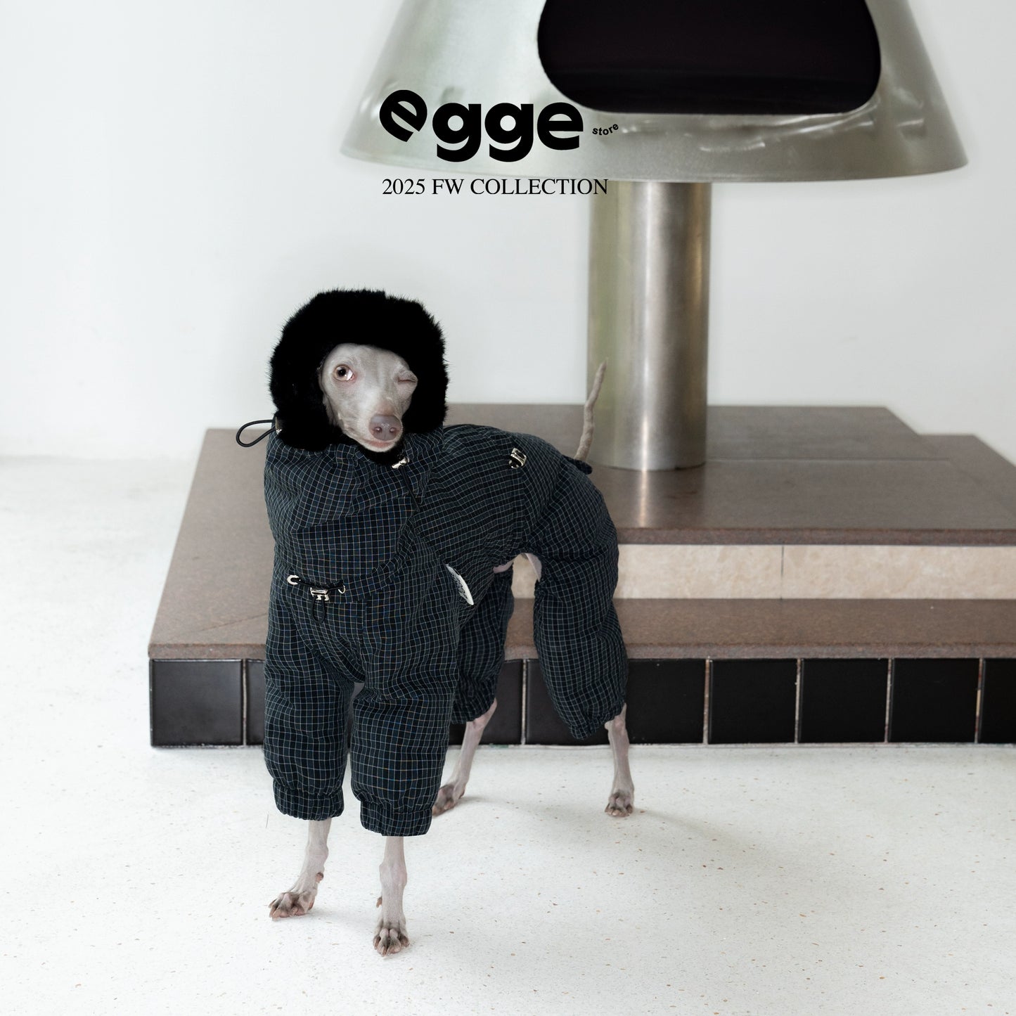 Mink-Trim Down Puffer