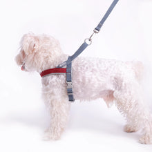 LightFit Dog Harness & Leash – Soft Vest for Small Dogs
