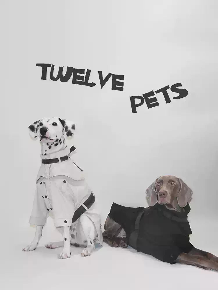 Waterproof Winter Trench Coat – Adjustable Dog Jacket with Detachable Collar