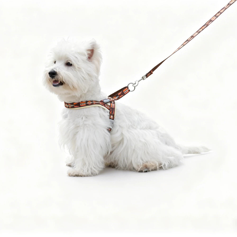 No-Pull Dog Harness & Leash – All-Size Control Fit