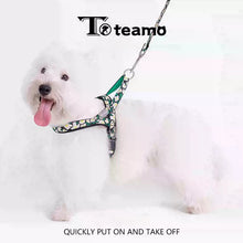 No-Pull Dog Harness & Leash – All-Size Control Fit