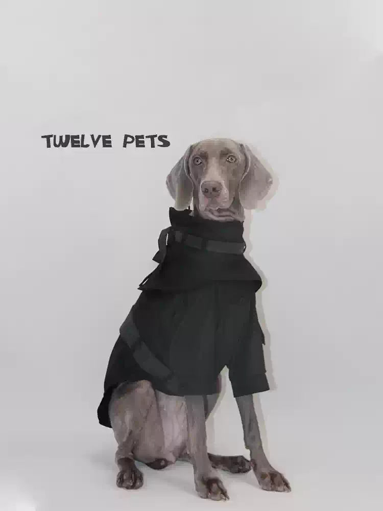 Waterproof Winter Trench Coat – Adjustable Dog Jacket with Detachable Collar