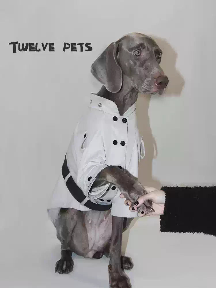 Waterproof Winter Trench Coat – Adjustable Dog Jacket with Detachable Collar