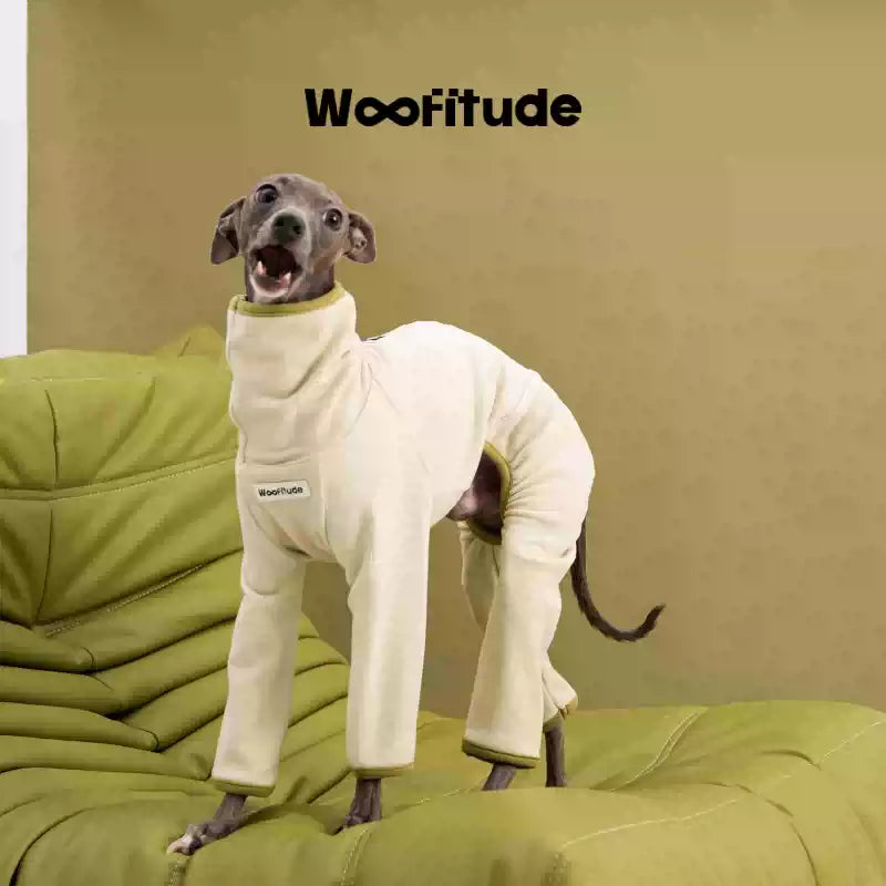 Wooftiude Four-Leg Thermal Suit