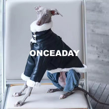 Barnfit Biker Leather Dog Jacket – Winter Style for Whippets