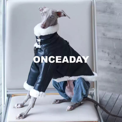 Barnfit Biker Leather Dog Jacket – Winter Style for Whippets