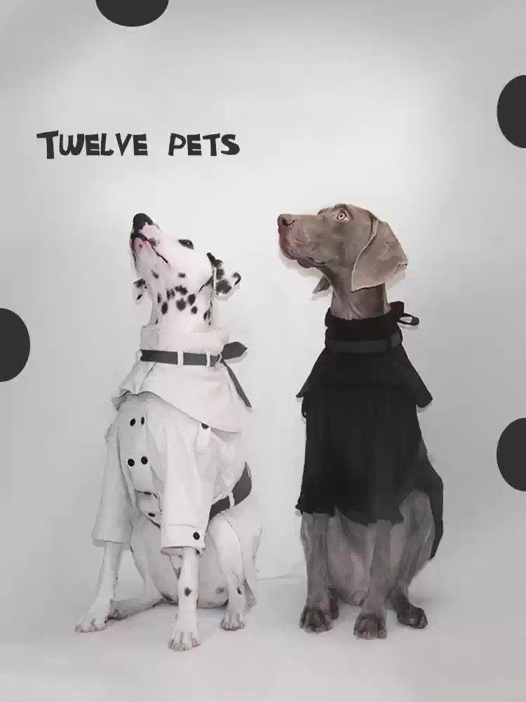 Waterproof Winter Trench Coat – Adjustable Dog Jacket with Detachable Collar