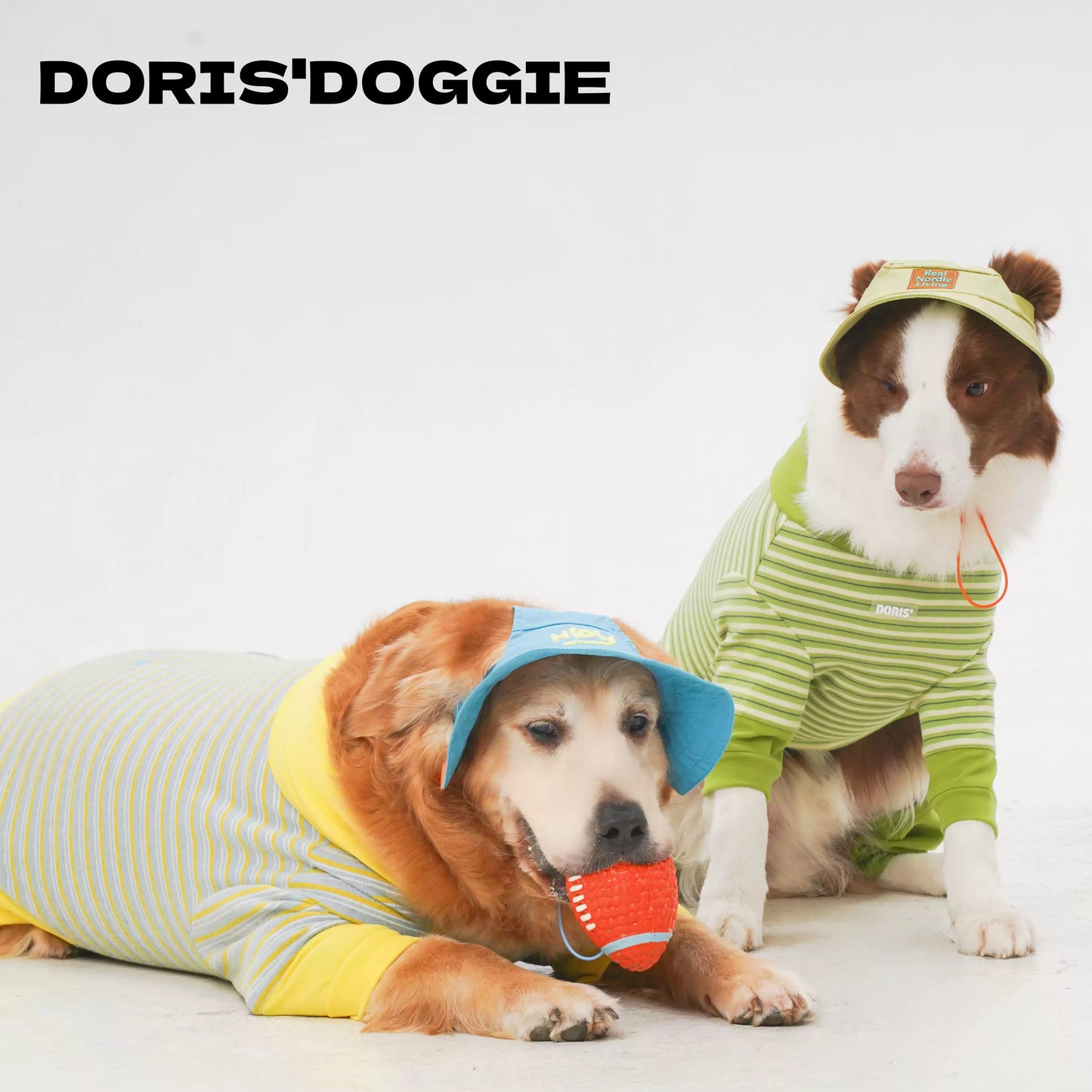 Anti-Static Four-Leg Dog Sweater – Warm Everyday Knit