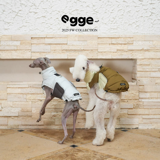 Essential Duck Down Vest