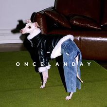 Barnfit Biker Leather Dog Jacket – Winter Style for Whippets