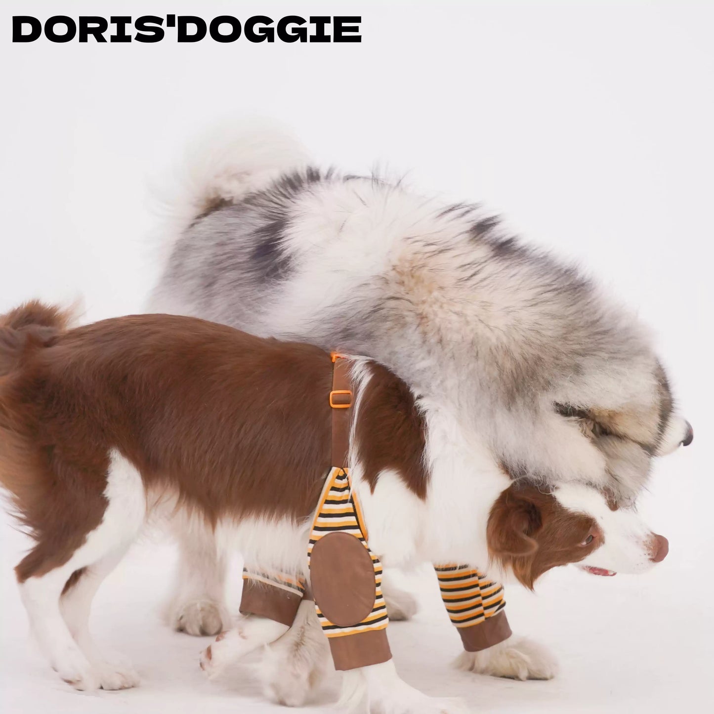 Dog Elbow & Knee Support Brace – Joint Protection for Dogs