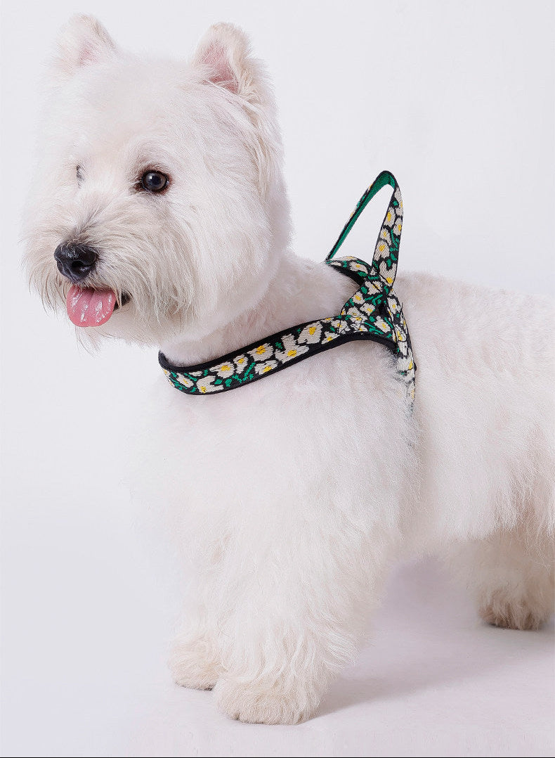 No-Pull Dog Harness & Leash – All-Size Control Fit