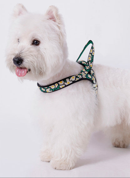 No-Pull Dog Harness & Leash – All-Size Control Fit