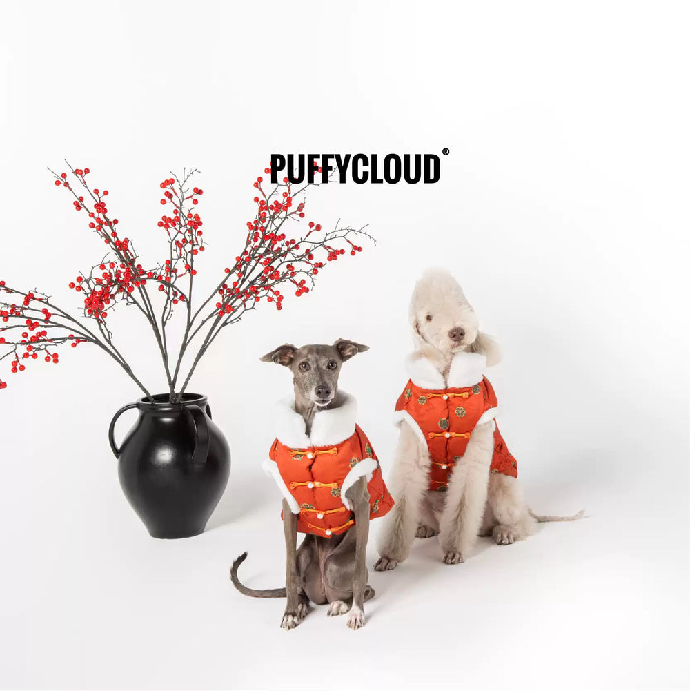 Chinese New Year Padded Pet Vest – Warm Holiday Wear