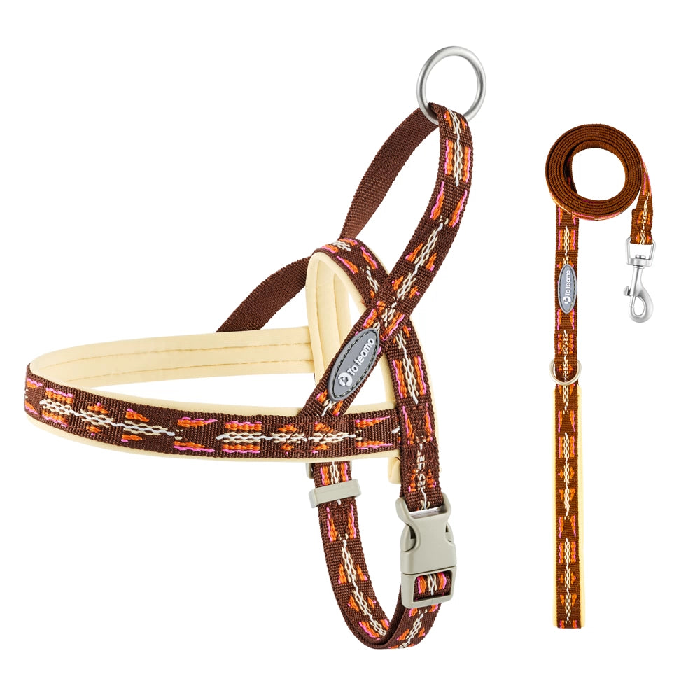 No-Pull Dog Harness & Leash – All-Size Control Fit
