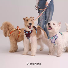 Colorblock Sport Harness – H-Style Control Fit