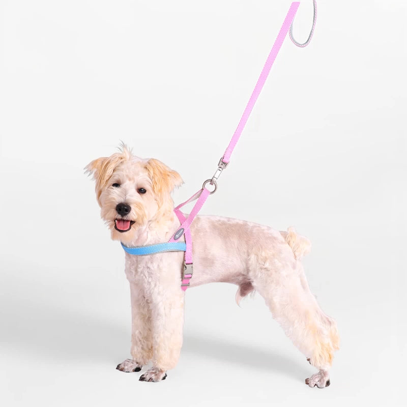 LightFit Dog Harness & Leash – Soft Vest for Small Dogs