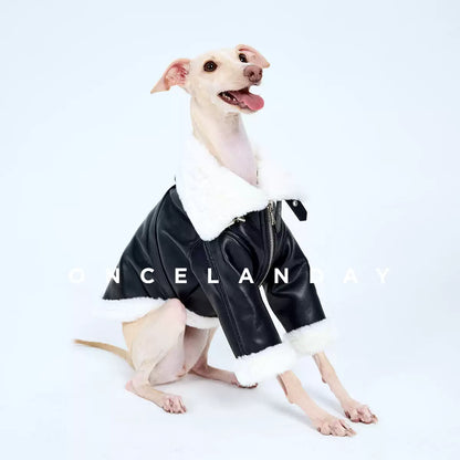 Barnfit Biker Leather Dog Jacket – Winter Style for Whippets