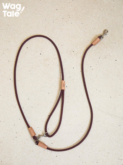 WagTale Vintage Leather Dog Leash – Multi-Tone Versatile Design