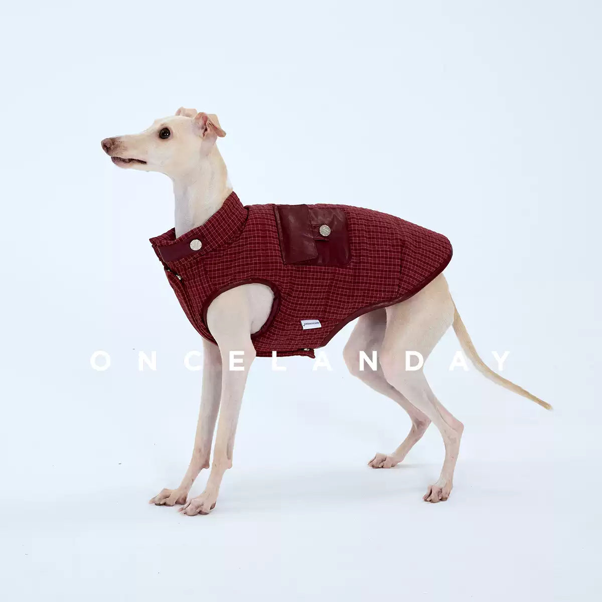 Colorblock Padded Vest – Minimal Winter Style