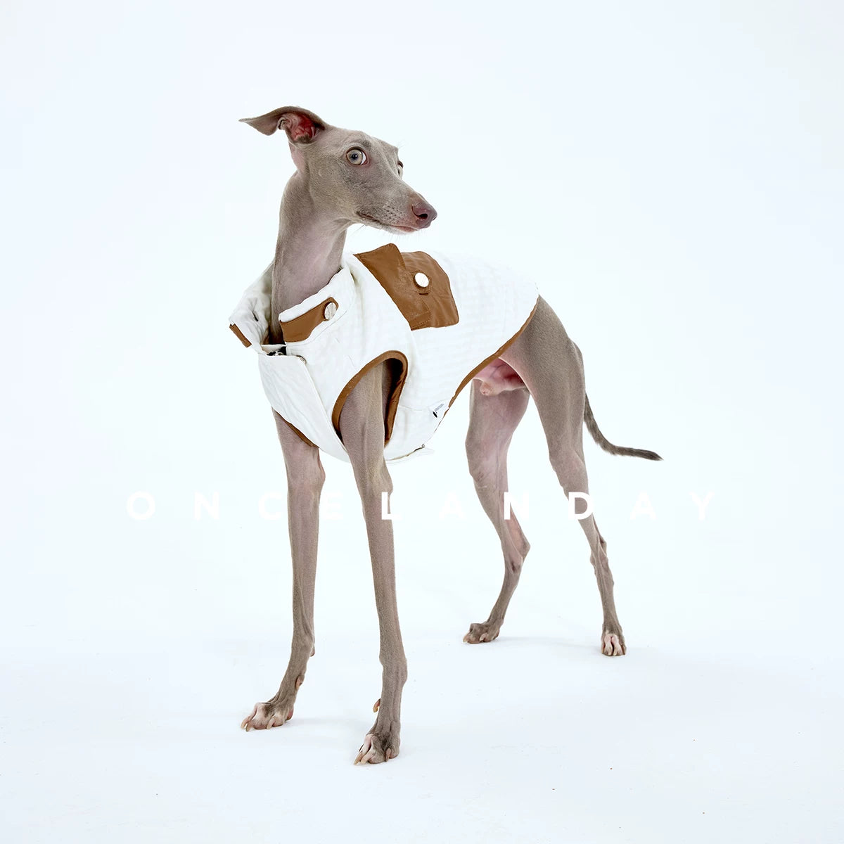 Colorblock Padded Vest – Minimal Winter Style