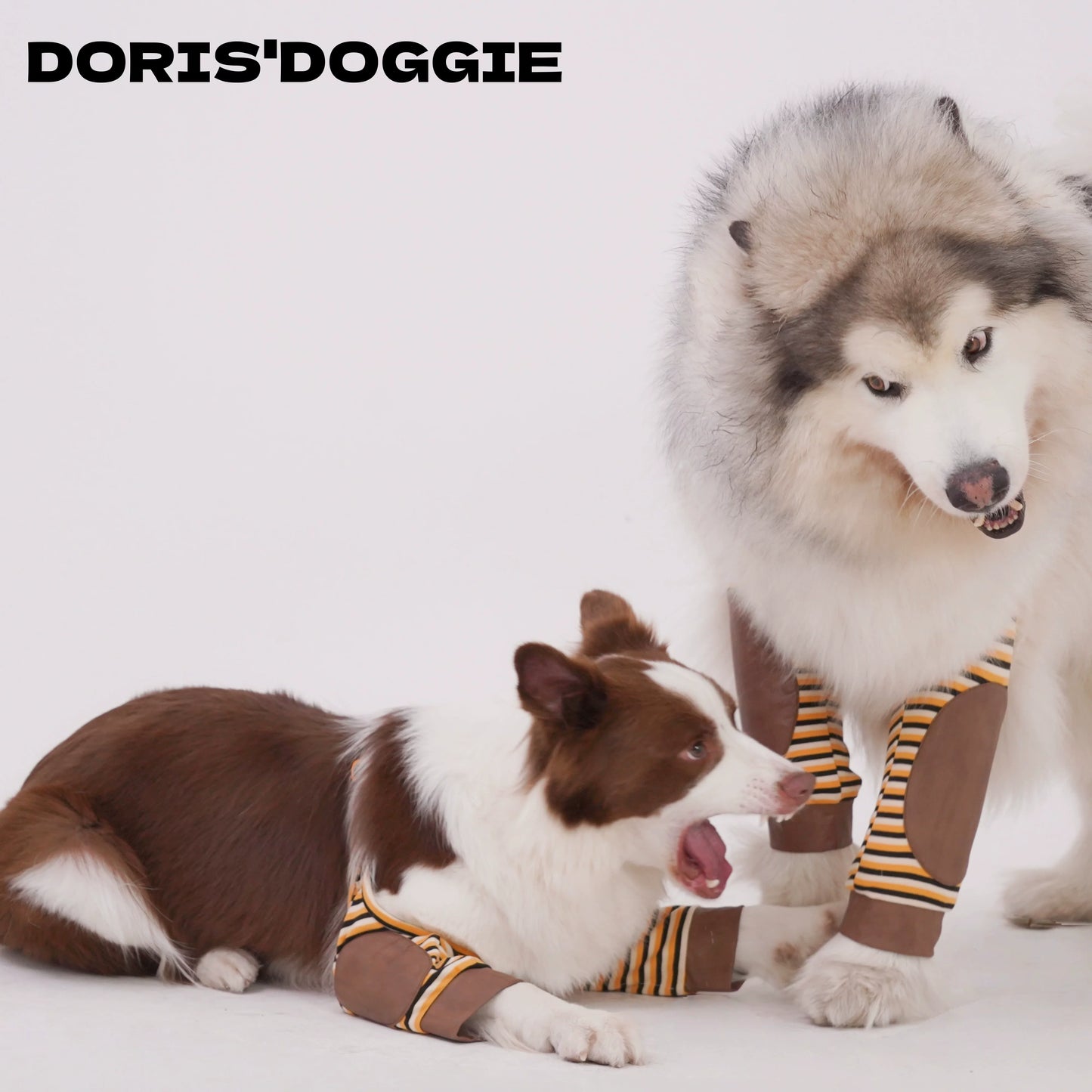 Dog Elbow & Knee Support Brace – Joint Protection for Dogs