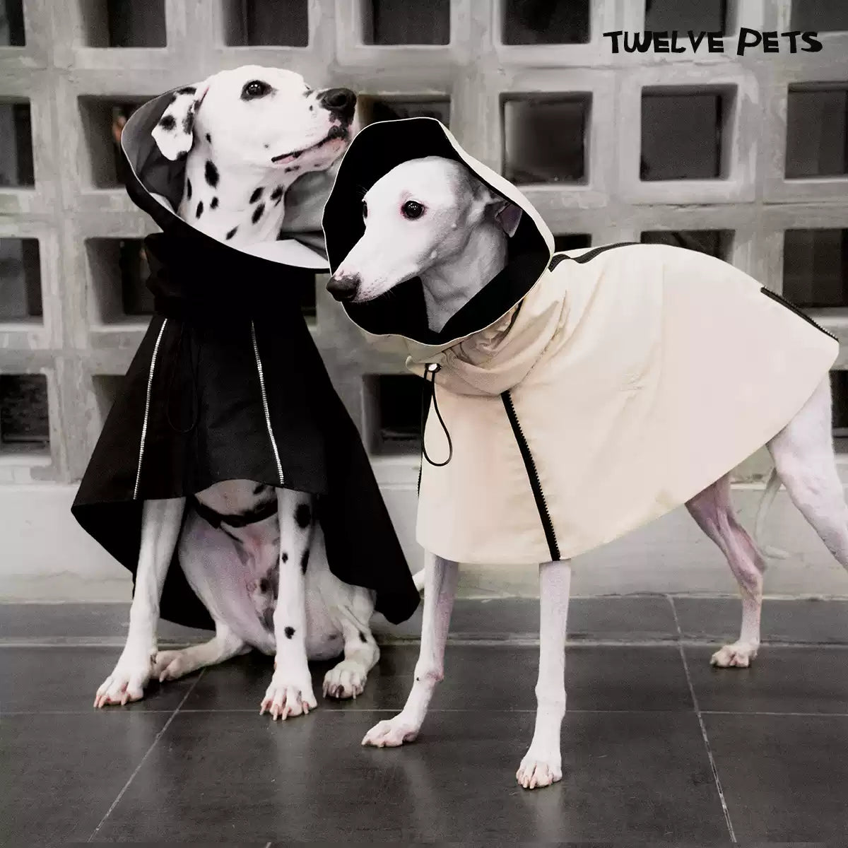 Adjustable Dog Jacket with Detachable Collar