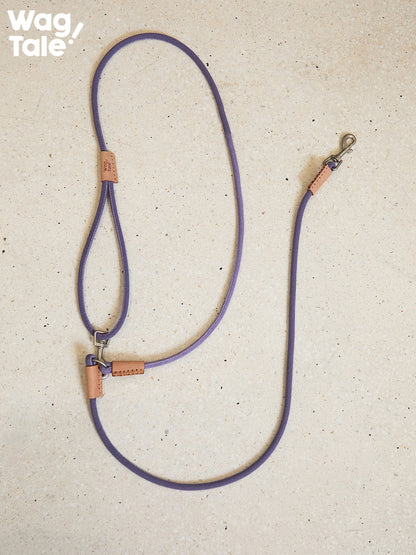 WagTale Vintage Leather Dog Leash – Multi-Tone Versatile Design