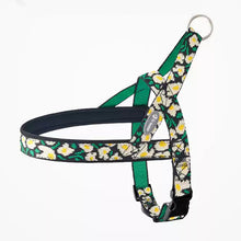 No-Pull Dog Harness & Leash – All-Size Control Fit