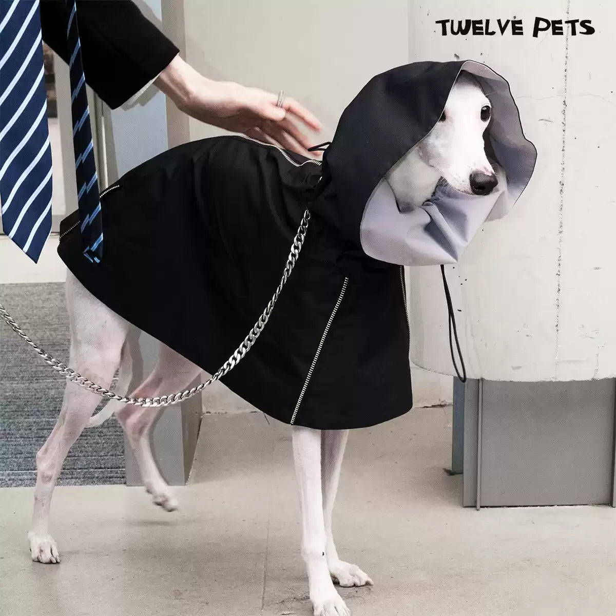 Adjustable Dog Jacket with Detachable Collar